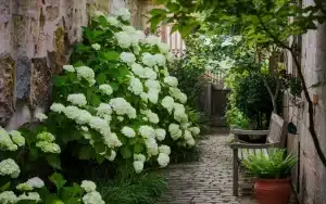 Balkon na północ i mało słońca : detal, który wielu pomija, gdy pnącza nagle nie chcą rosnąć