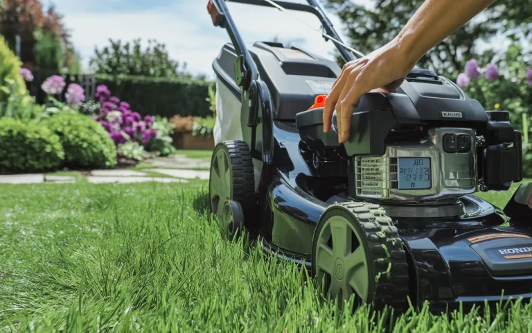 Nieznana wysokość koszenia : co niewielu zauważa, a trawa nie żółknie i wygląda gęściej przez rok