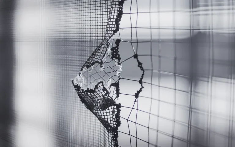 Stara moskitiera, wielki błąd : co robimy, gdy pęknie, i czemu potem nie działa tak jak wcześniej