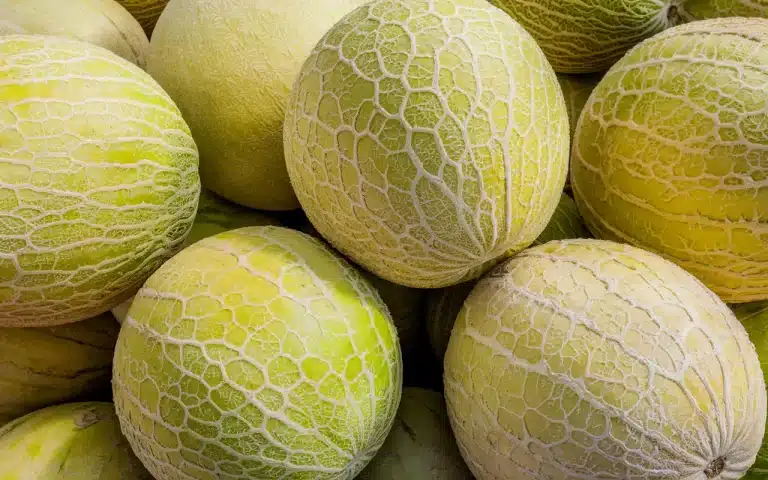 Wybór idealnego melona : detal, którego prawie nikt nie sprawdza, a potem żałuje przy krojeniu