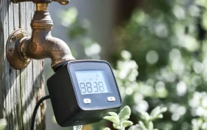 Samodzielnie założyłem nawadnianie automatyczne, a proste ustawienie obniżyło rachunek za wodę o 50%