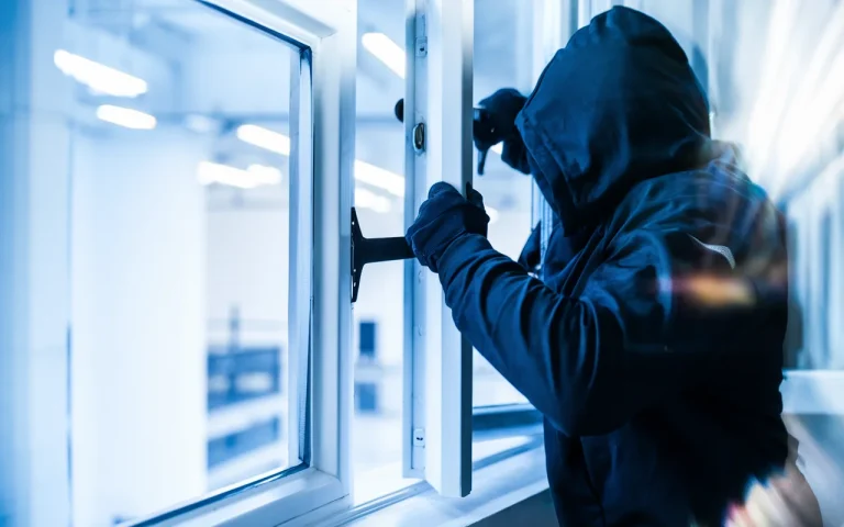 Te krzewy przed domem utrudniają włamanie, a przy okazji poprawiają prywatność
